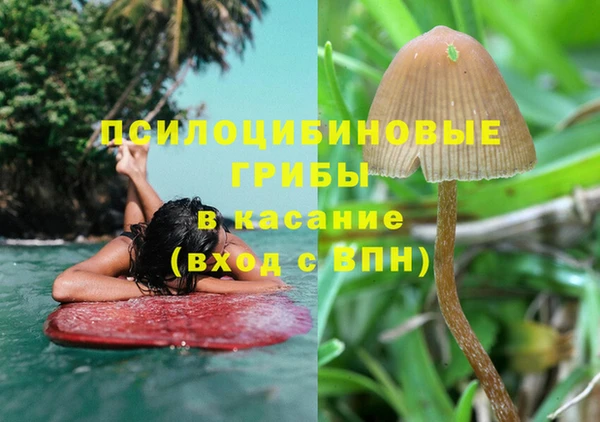 MESCALINE Верея