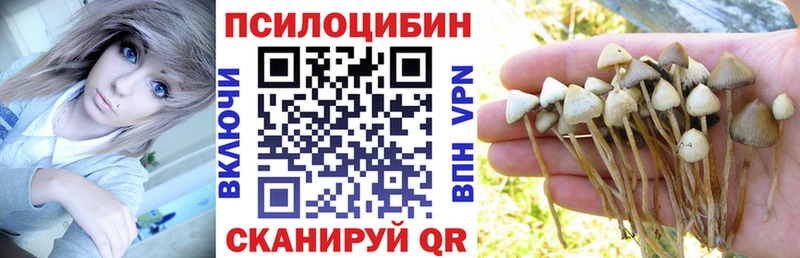Псилоцибиновые грибы Magic Shrooms  Новодвинск 